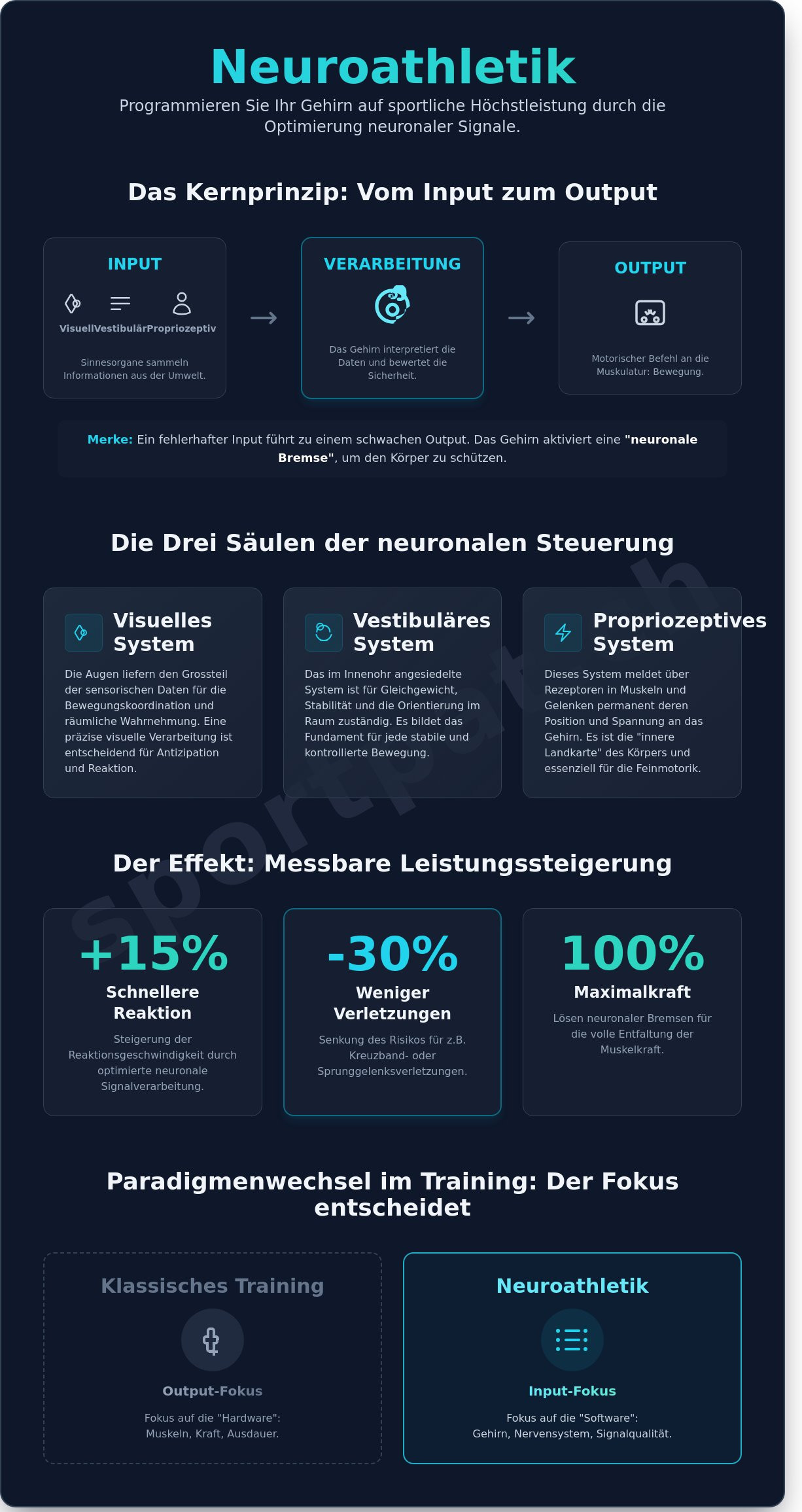 Neuroathletik: Wie Sie Ihr Gehirn auf sportliche Höchstleistung programmieren