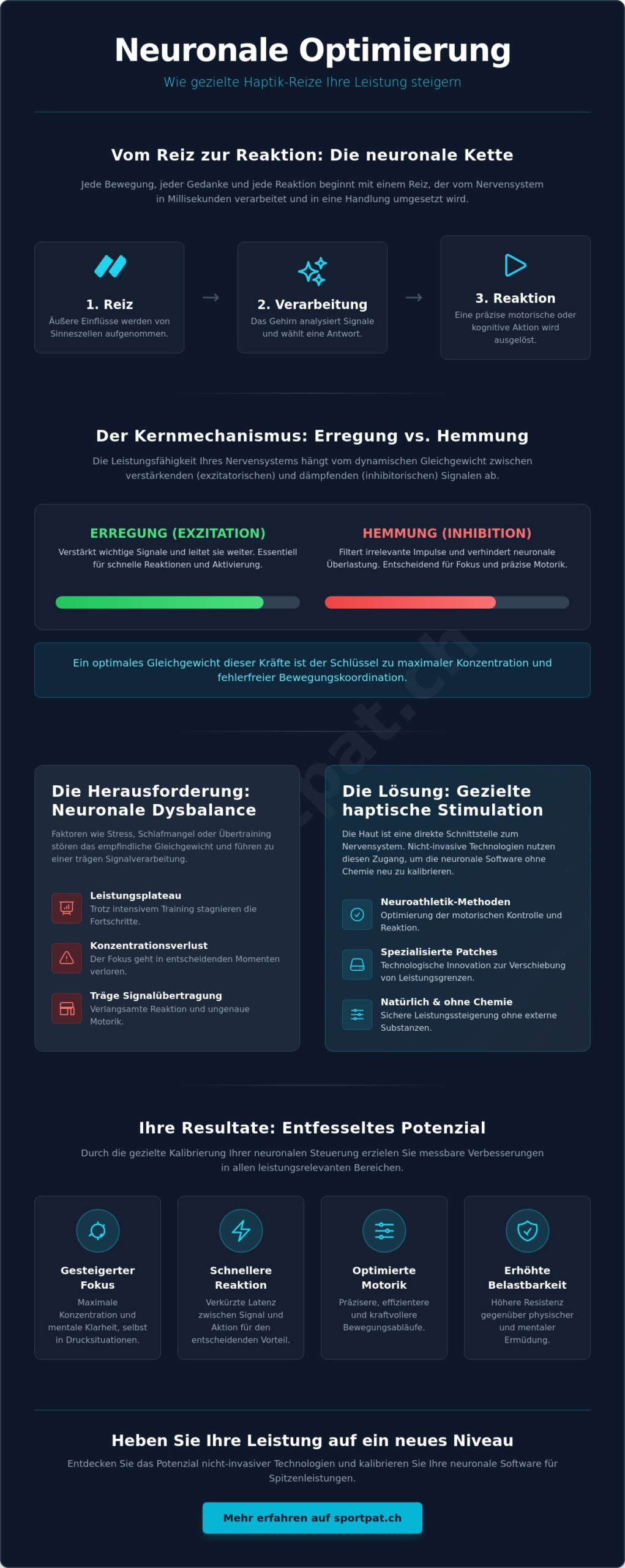 Neuronale Reaktionen im Gehirn: Wie haptische Reize die Leistung steuern